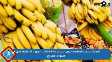 تحديث أسعار الفاكهة اليوم السبت 30-8-2025.. الموز بـ 35 جنيهاً الآن في أسواق مطروح